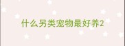 什么另类宠物最好养