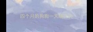 四个月的狗狗一天喂几次