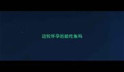 边牧怀孕后能吃鱼吗