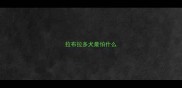 拉布拉多犬最怕什么