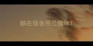 躺在宿舍吊兰猫咪