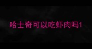 哈士奇可以吃虾肉吗