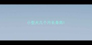 小型犬几个月长身高