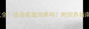 拉布拉多优缺点全适合家庭饲养吗附饲养指南附对比图