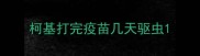 柯基打完疫苗几天驱虫