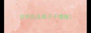 拉布拉多鼻子干嗜睡