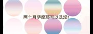 两个月萨摩耶可以洗澡
