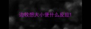 边牧想大小便什么反应