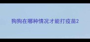 狗狗在哪种情况才能打疫苗