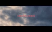 乌鲁木齐哈士奇领养