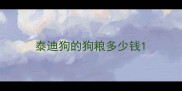 泰迪狗的狗粮多少钱