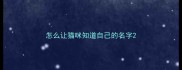 怎么让猫咪知道自己的名字