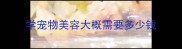 学宠物美容大概需要多少钱