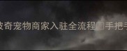 最新攻略波奇宠物商家入驻全流程手把手教你快速开店