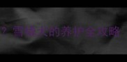 哈士奇寿命多少年雪橇犬的养护全攻略附10年养宠经验