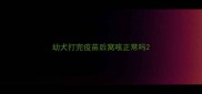 幼犬打完疫苗后窝咳正常吗