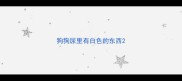 狗狗尿里有白色的东西