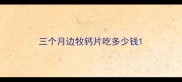 三个月边牧钙片吃多少钱
