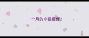 一个月的小猫便便