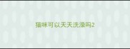 猫咪可以天天洗澡吗