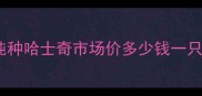 纯种哈士奇市场价多少钱一只