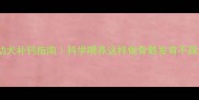 边牧幼犬补钙指南科学喂养这样做骨骼发育不踩坑