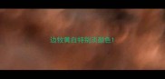 边牧黄白特别淡颜色