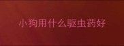 小狗用什么驱虫药好