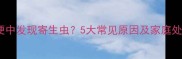 小狗便便中发现寄生虫5大常见原因及家庭处理指南