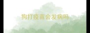 狗打疫苗会发病吗