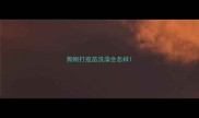 狗刚打疫苗洗澡会怎样
