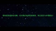 德牧疫苗接种全攻略幼犬期必知的疫苗种类常见误区与护理要点