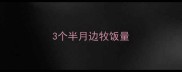 3个半月边牧饭量