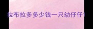 拉布拉多多少钱一只幼仔仔