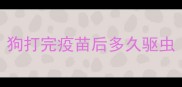 狗打完疫苗后多久驱虫