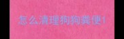 怎么清理狗狗粪便