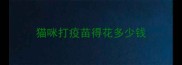 猫咪打疫苗得花多少钱