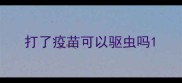 打了疫苗可以驱虫吗