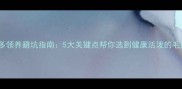 拉布拉多领养避坑指南5大关键点帮你选到健康活泼的毛孩