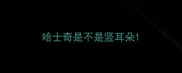 哈士奇是不是竖耳朵