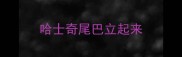 哈士奇尾巴立起来