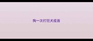 狗一次打狂犬疫苗