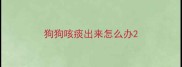 狗狗咳痰出来怎么办