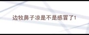 边牧鼻子凉是不是感冒了