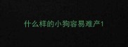 什么样的小狗容易难产