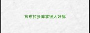拉布拉多脚掌很大好嘛