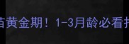 细小疫苗黄金期1-3月龄必看打针全攻略