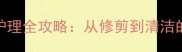 边牧胸毛护理全攻略从修剪到清洁的7大技巧