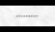 边牧训练高难度动作