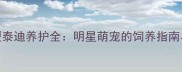 霍思燕巨型泰迪养护全明星萌宠的饲养指南与日常护理